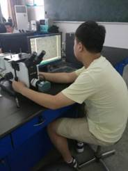 mmexport1498132087394