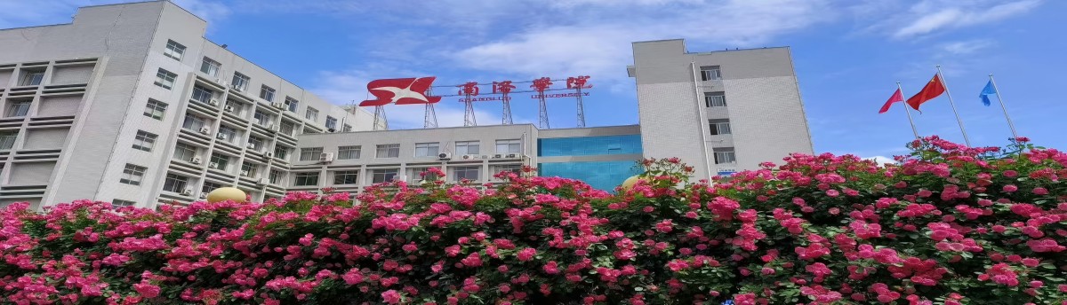 北新街校区